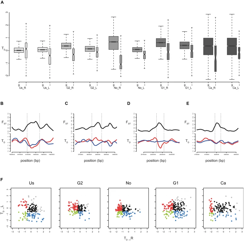 Characterizing divergent regions of exceptional differentiation by molecular signatures of evolution.