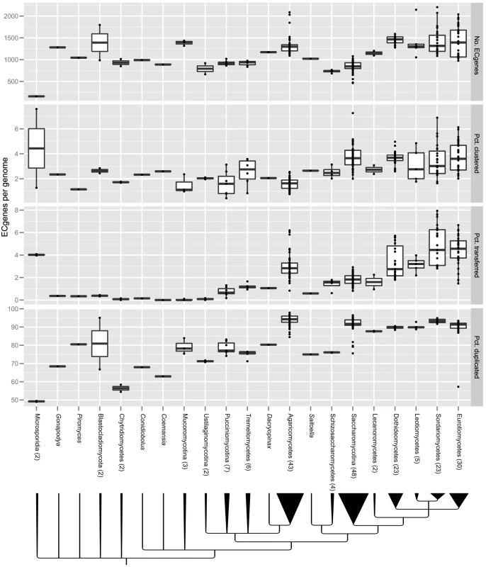 Variation in gene clustering, GD, and HGT across the fungal phylogeny.