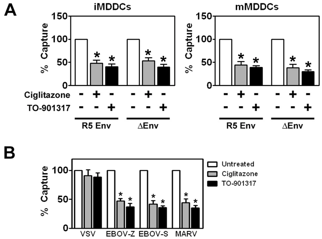 PPARγ and LXR ligand treatment prevents envelope glycoprotein-independent capture of virus by MDDCs.