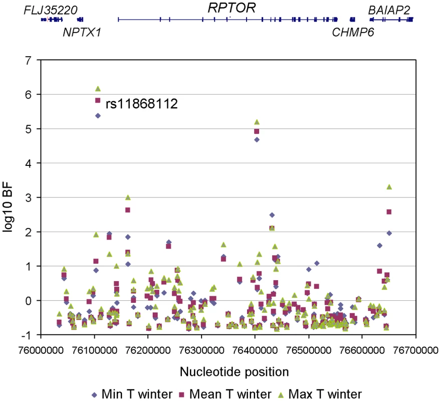 Association between 156 <i>RPTOR</i> SNPs and winter temperature variables.