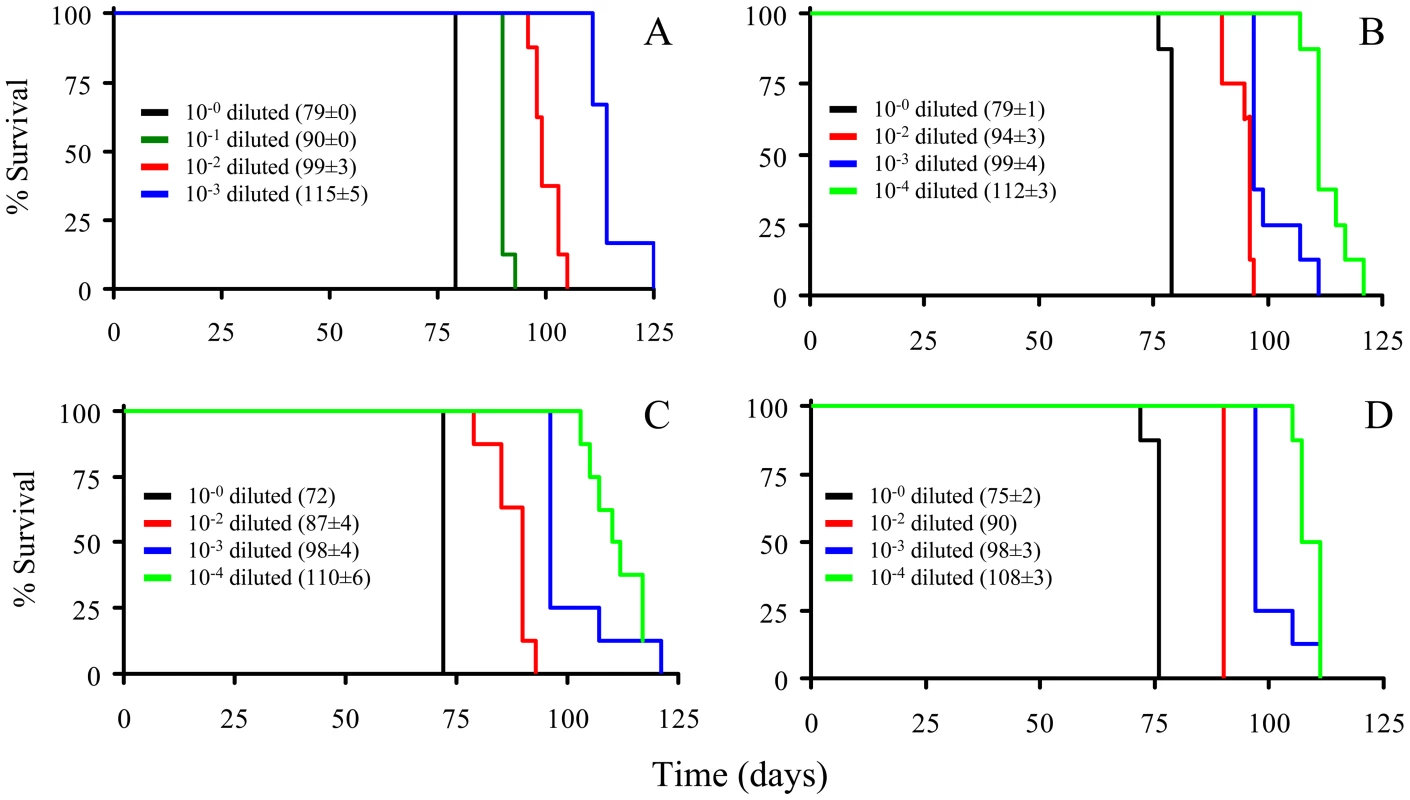 Kaplan-Meier estimate graphs for dilutions of four prion preparations (263K hamster-adapted scrapie).