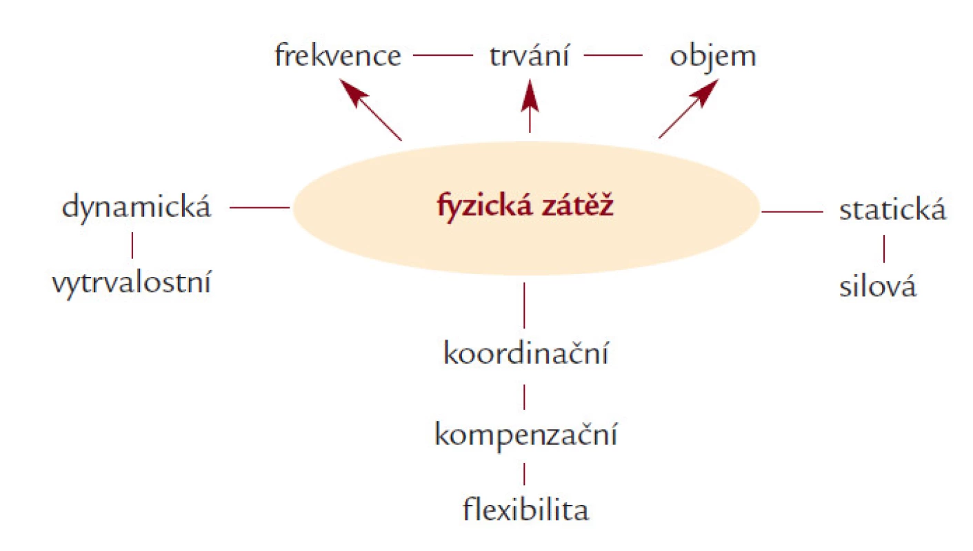 Způsoby fyzické zátěže a jejich frekvence, trvání a objem.