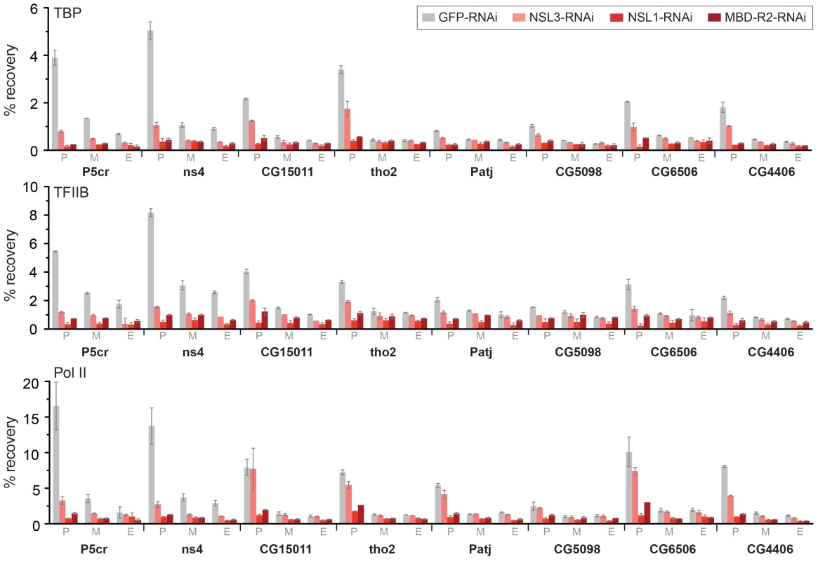 The NSL complex is important for optimal recruitment of the pre-initiation complex.