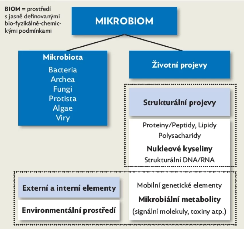 Mikrobiom je společenství mikrobioty obývající jasně definované prostředí, součástí mikrobiomu jsou i životní projevy a strukturální komponenty mikroorganismů. Jde o dynamický a interaktivní ekosystém s tendencí k proměně v čase a prostoru.
V širším kontextu mikrobiom zahrnuje eukaryotického hostitele
(novorozence).