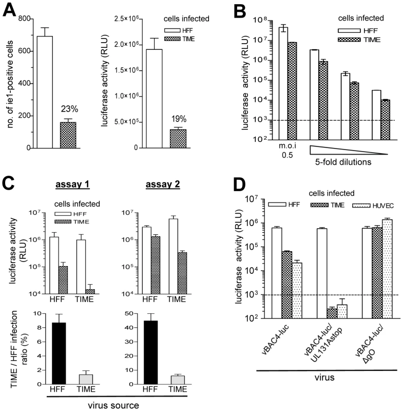vBAC4-luc as a tool to study infection capacities.