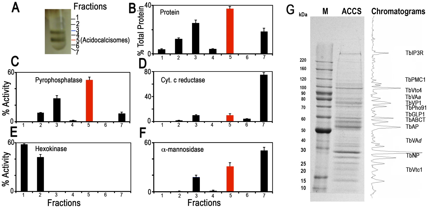 Distribution on iodixanol gradients of organellar markers from PCF trypanosomes.