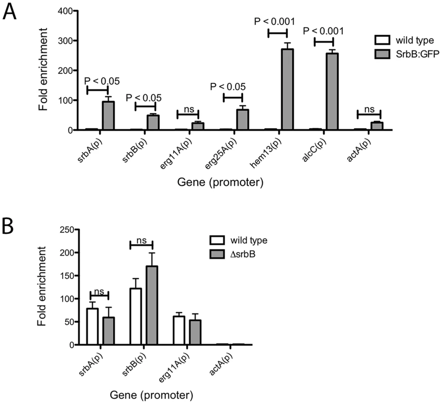 Binding of SrbB to the promoter of specific SrbA target genes and binding of SrbA in Δ<i>srbB</i>.