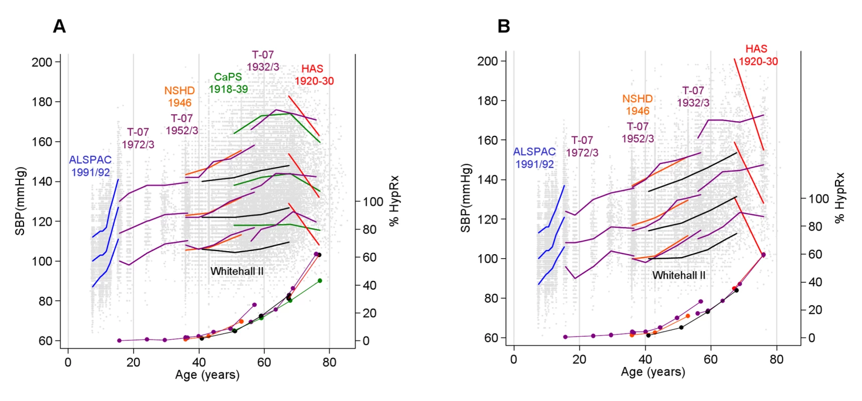Observed SBP and prevalence of antihypertensive therapy.