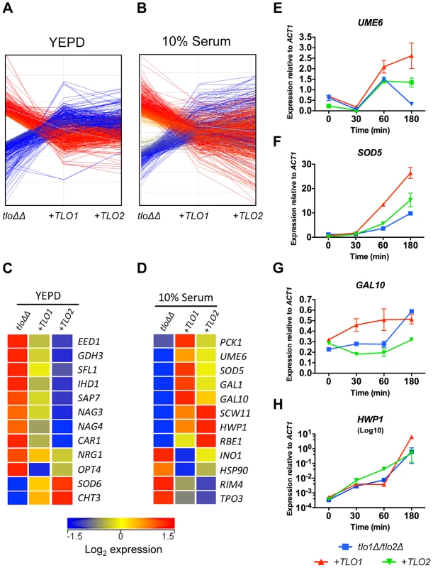 Reintroduction of <i>TLO1</i> or <i>TLO2</i> in the <i>tlo1</i>Δ/<i>tlo2</i>Δ (<i>tlo</i>ΔΔ) mutant restores wild-type levels of expression of overlapping and distinct sets of genes.