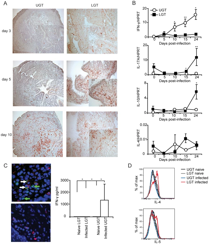 Distinct cytokine mRNA profiles in different regions of the genital tract during <i>C. trachomatis</i> infection.