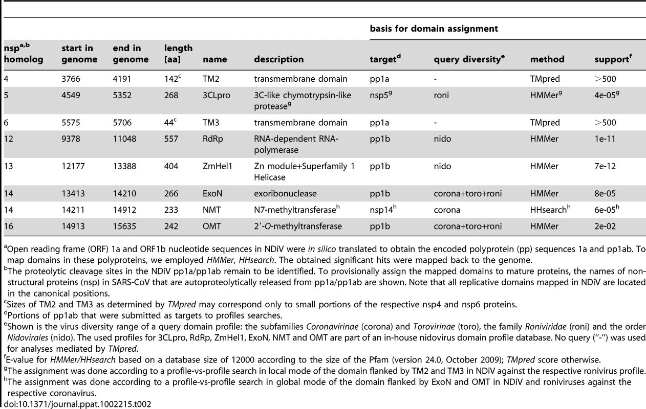 Mapping replicative protein domains on the NDiV genome.