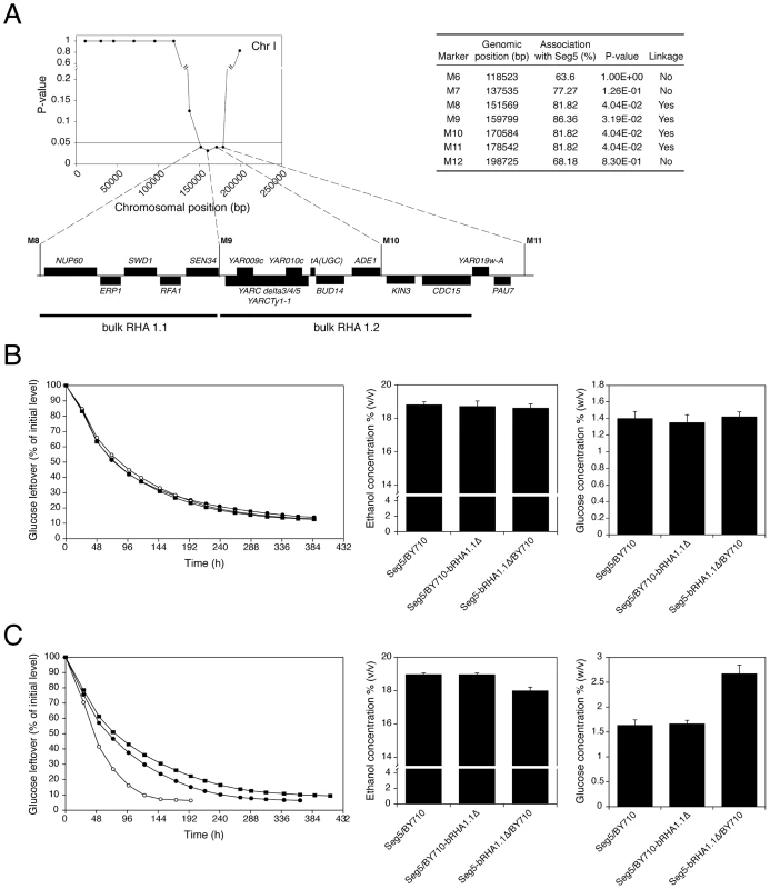 Fine-mapping and bulk RHA of QTL2.