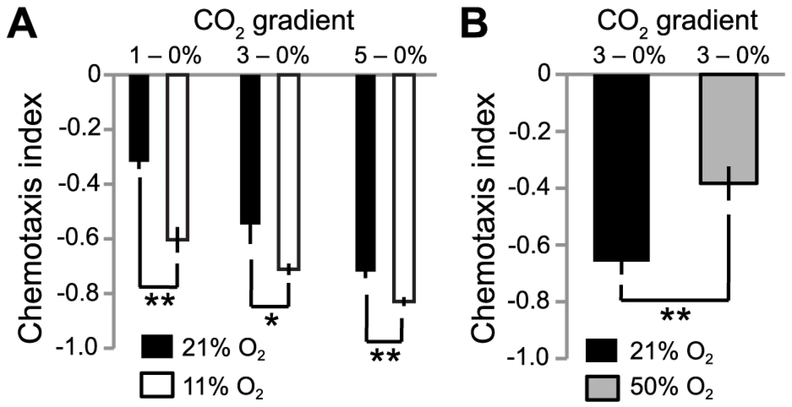 Ambient O<sub>2</sub> levels set CO<sub>2</sub> avoidance.