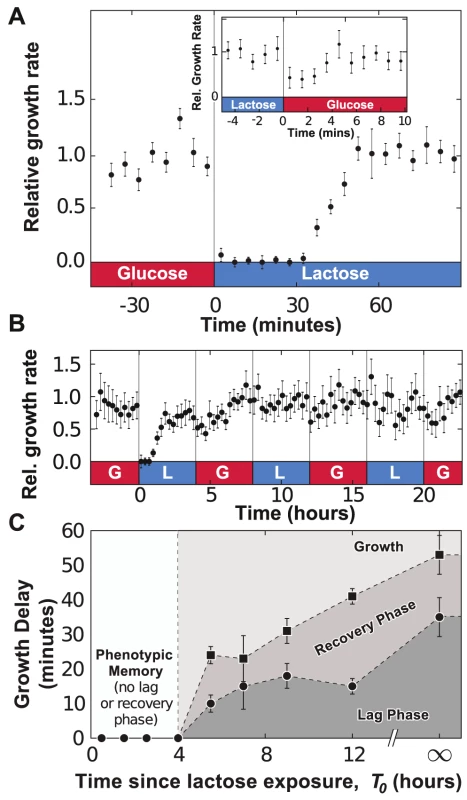 Adaptation to fluctuating environments.