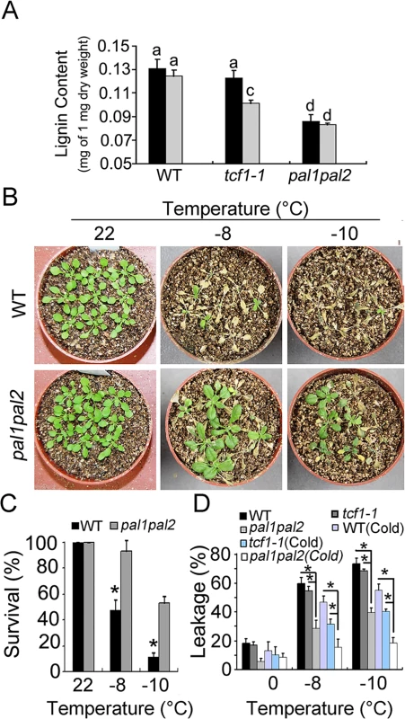 Reduced lignin content increased freezing tolerance.