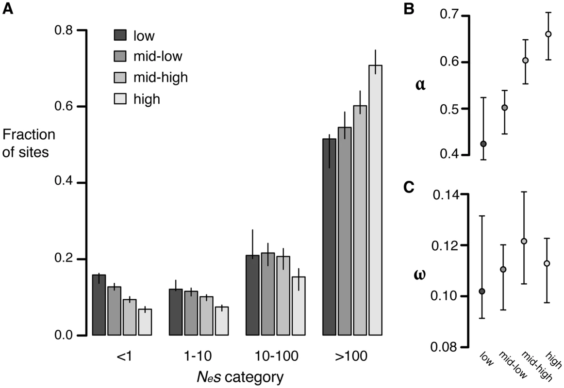 Estimates of negative and positive selection on nonsynonymous sites in genes of varying expression level.