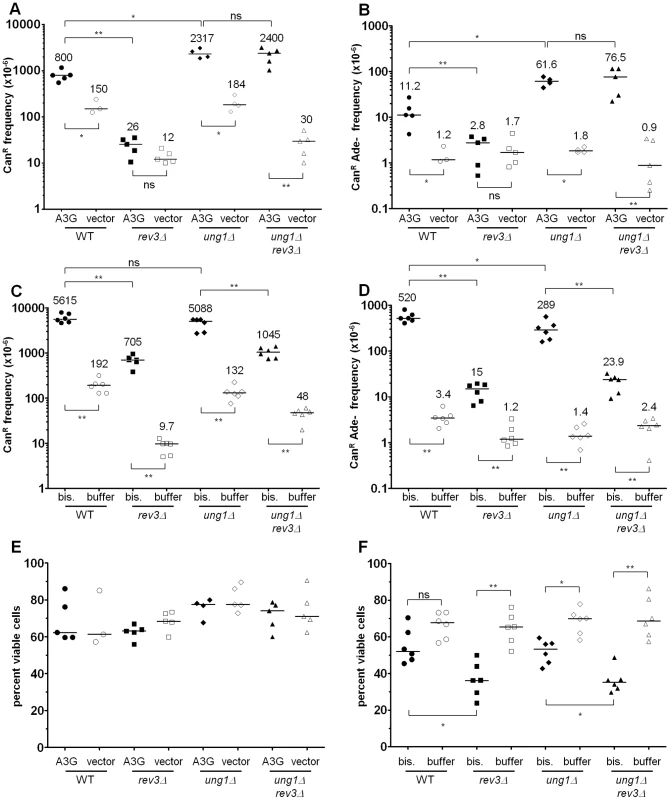 Pol ζ is involved in the majority of error-prone bypass of the 5,6-dihydrouracil-6-sulfonate intermediate of bisulfite-induced cytosine deamination.