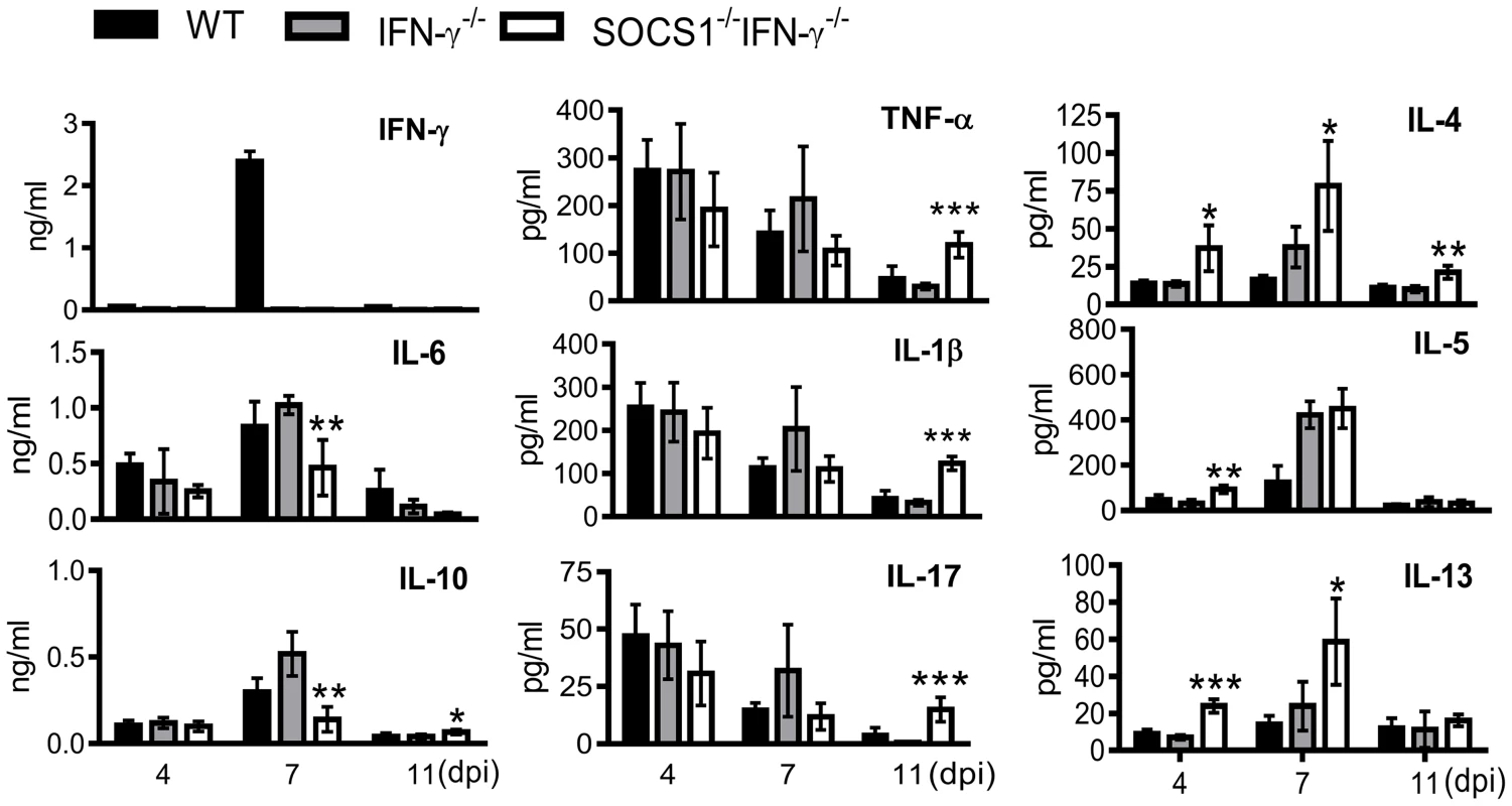 Airway cytokine responses after influenza infection.