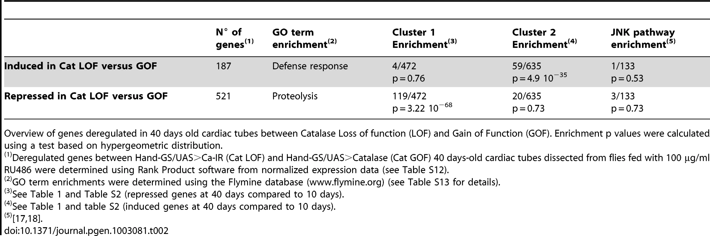 Effect of Catalase activity on cardiac transcriptome at 40 days.