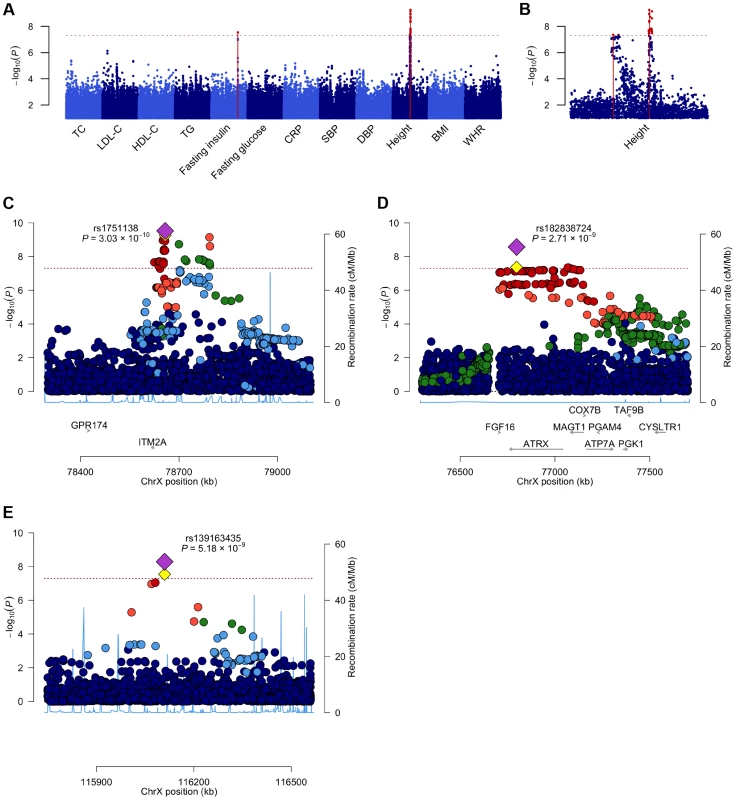 A Manhattan plot across all the twelve phenotypes and regional association plots for the three associated loci.