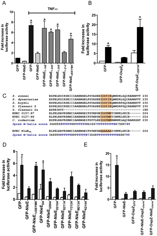 Effect of NleE deletions and mutations on NF-κB activation.