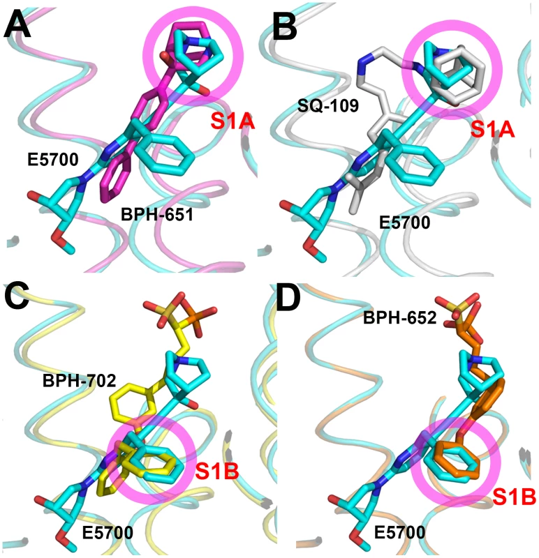 Comparisons between TcSQS/E5700 and CrtM/inhibitor structures.