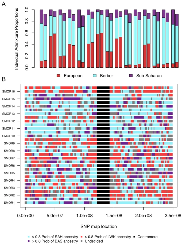Correlation between ancestry proportions inferred from ADMIXTURE and PCADMIX.