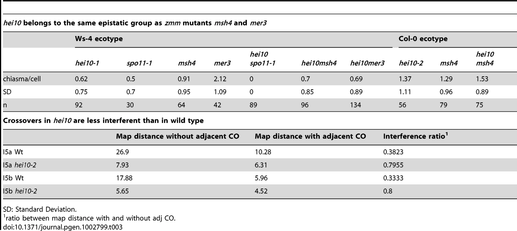 HEI10 is a ZMM protein.
