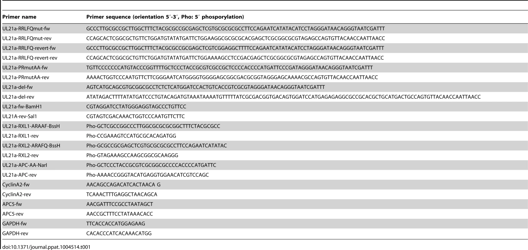 Oligonucleotide primers used in this study.