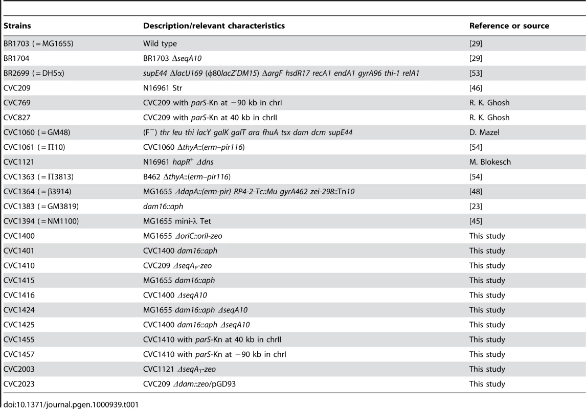 Bacterial strains.