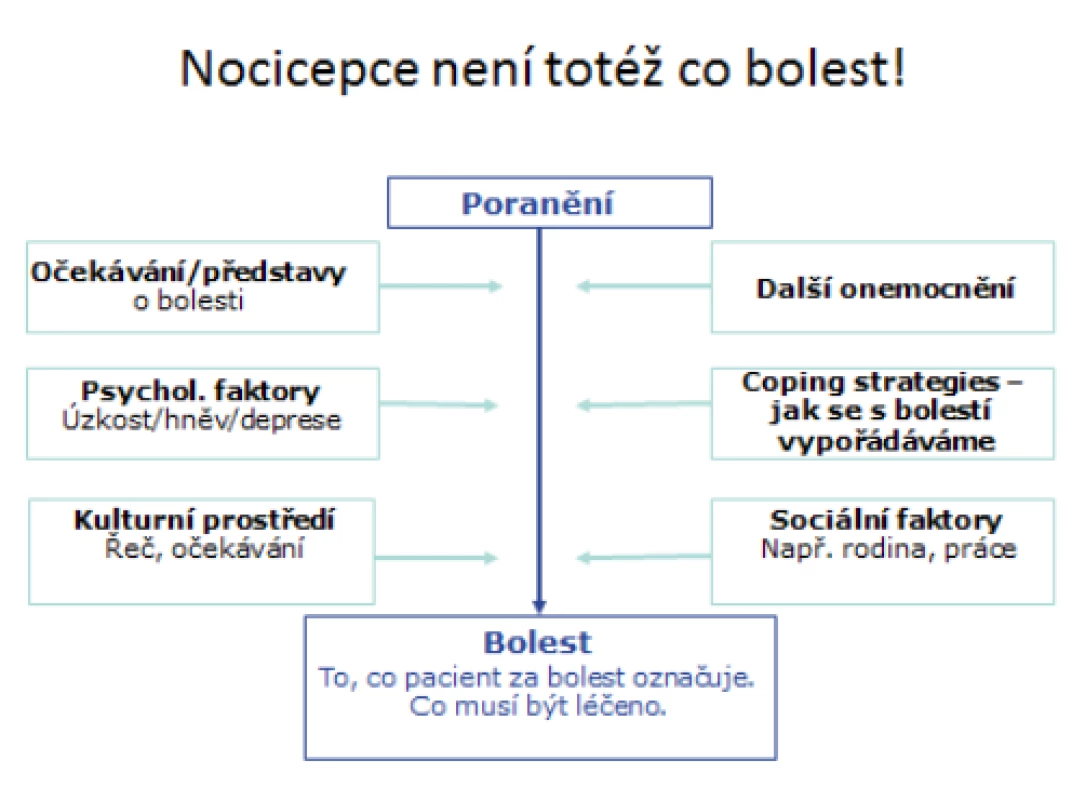 Faktory působící na vnímání bolesti (modifikováno dle 6)