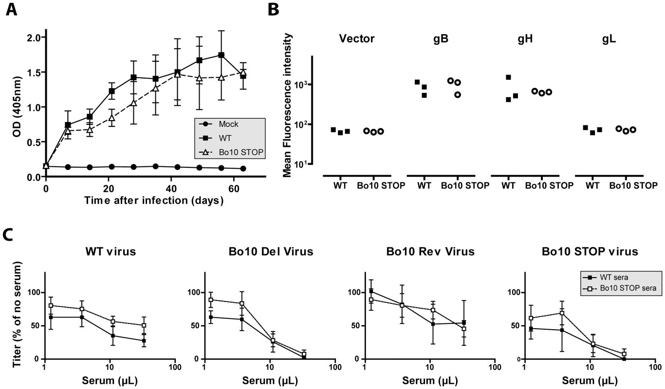 Immunogenicity of BoHV-4 lacking gp180.