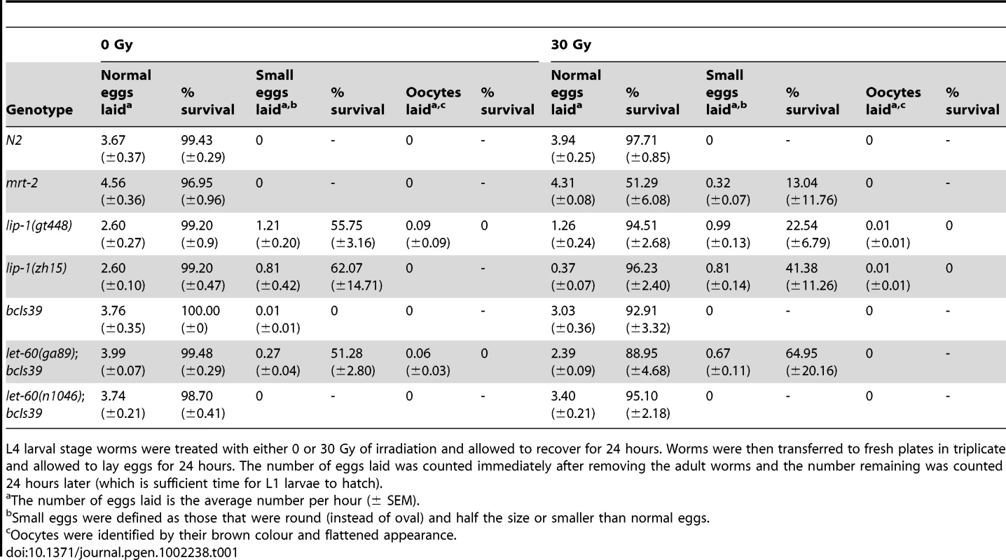 <i>lip-1(lf)</i> and <i>let-60(gf)</i> mutants do not show radiation sensitivity.