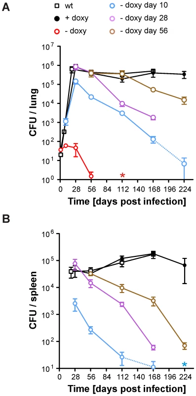 Growth and survival of <i>Mtb bioA</i> TetON-5 in mouse lungs and spleens.