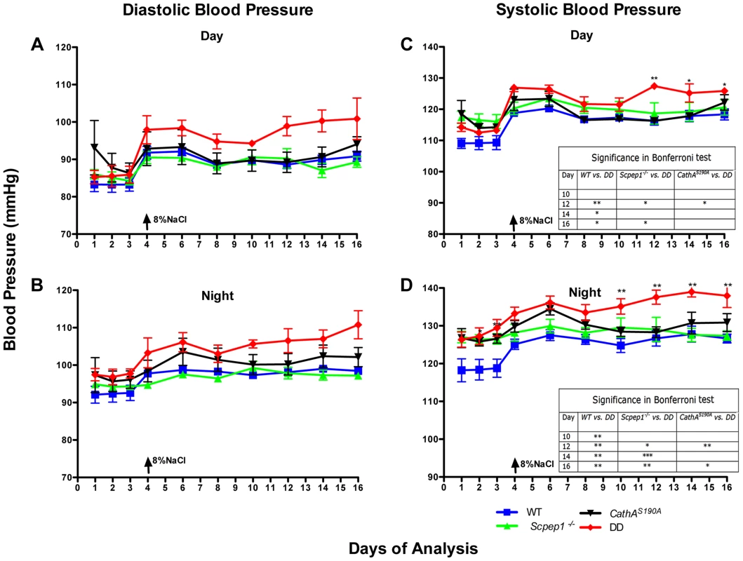 Mice with combined CathA/Scpep1 deficiency show significantly higher values of SBP.