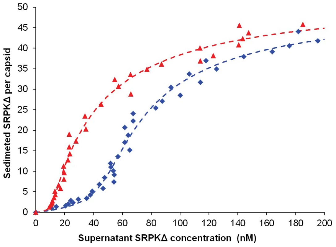 Titration of Cp183 capsid by SRPKΔ.