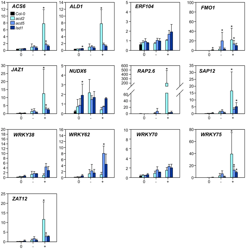 Expression of selected marker genes in lesion mimic mutants.