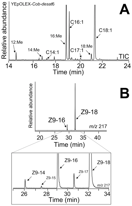 GC-MS analysis.