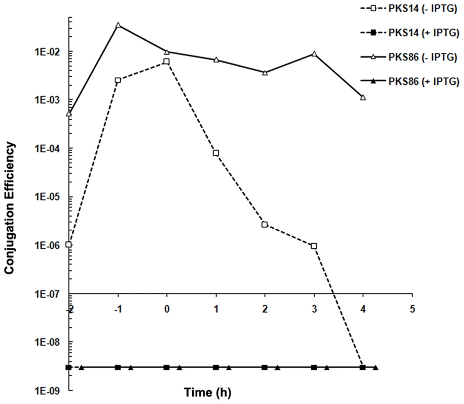 Gene 27c of pLS20cat encodes a repressor of conjugation.