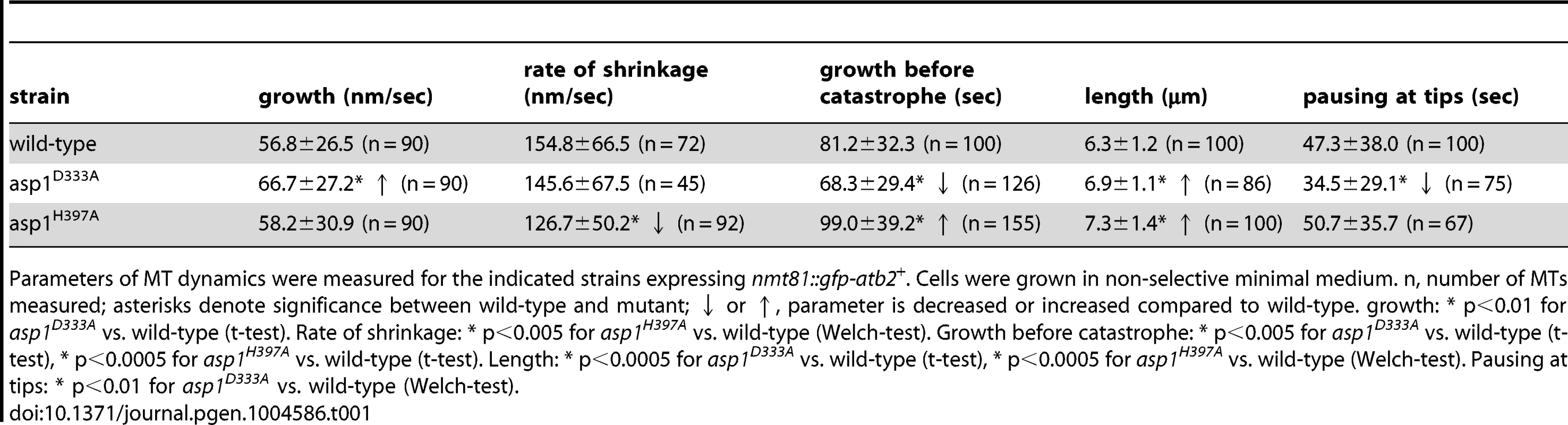 Interphase MT dynamics in <i>asp1</i> variant strains.