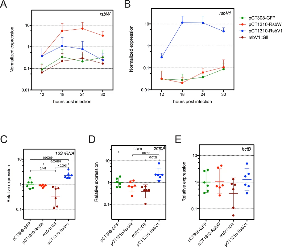 Analysis of σ<sup>66</sup>-dependent gene expression in response to modified <i>rsb</i> component expression.