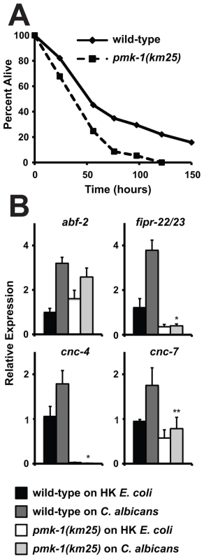 The p38 MAP Kinase PMK-1 is Required for the response to <i>C. albicans</i> infection.