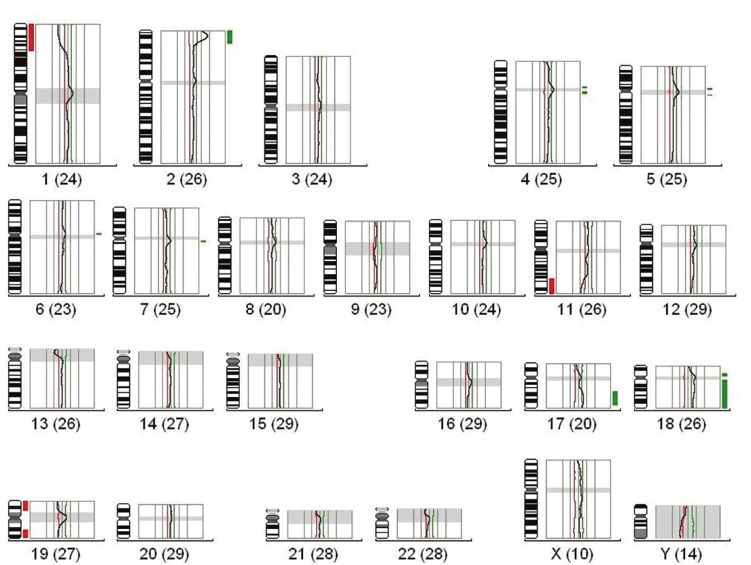 (A) Výsledek vyšetření CGH pacienta s neuroblastomem nízkého rizika, kde je patrné zmnožení (zeleně) a delece (červeně) celých chromozómů. (B) Výsledek vyšetření CGH, pacienta s neuroblastomem středního rizika, kde jsou patrné segmentální změny (delece, zmnožení části chromozómů) bez amplifikace MYCN. (C) Výsledek vyšetření CGH, pacienta s neuroblastomem vysokého rizika, kde jsou patrné segmentální změny s amplifikací MYCN na 2p. Tato amplifikace byla ověřena pomocí FISH (fluorescenční in situ hybridizace) techniky.