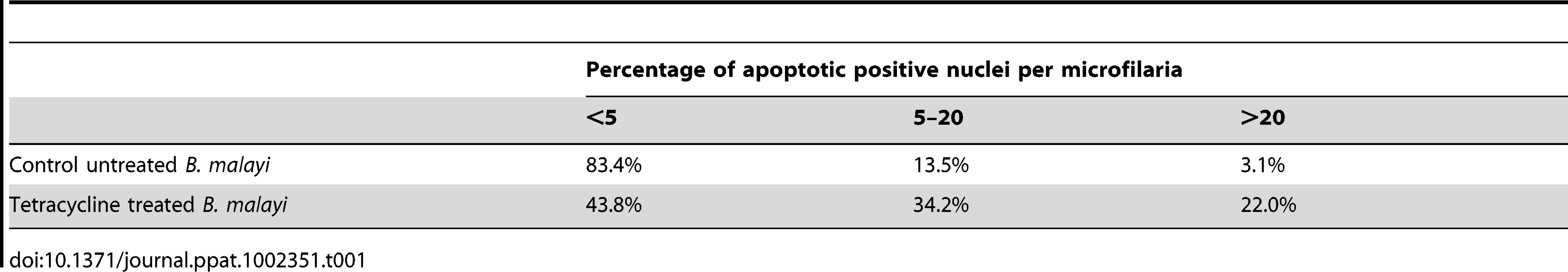 Percentage of <i>B. malayi</i> microfilariae showing different levels of apoptotic positive nuclei.