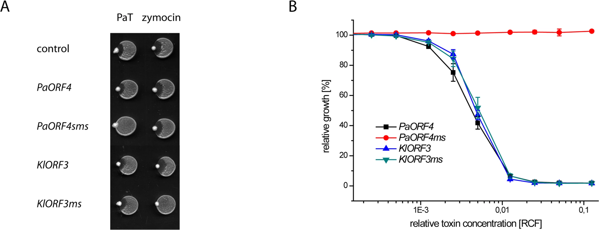 The codon adapted immORFs <i>PaORF4ms</i> and <i>KlORF3ms</i> confer resistance to the respective toxins PaT and zymocin.