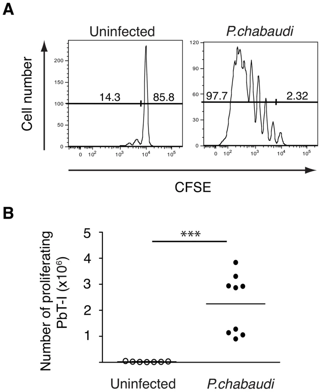 PbT-I cells respond to <i>P. chabaudi</i> AS.