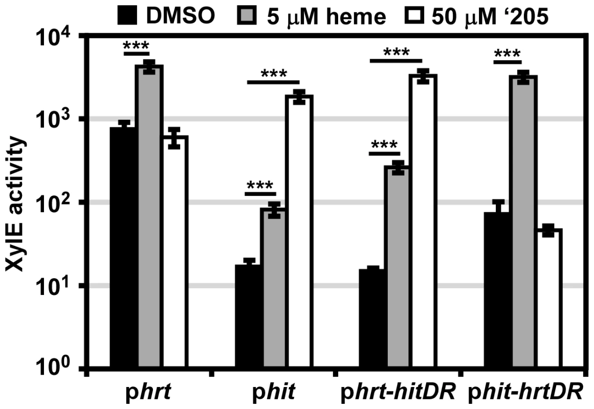 The direct repeat in each promoter determines specificity <i>in vivo</i>.