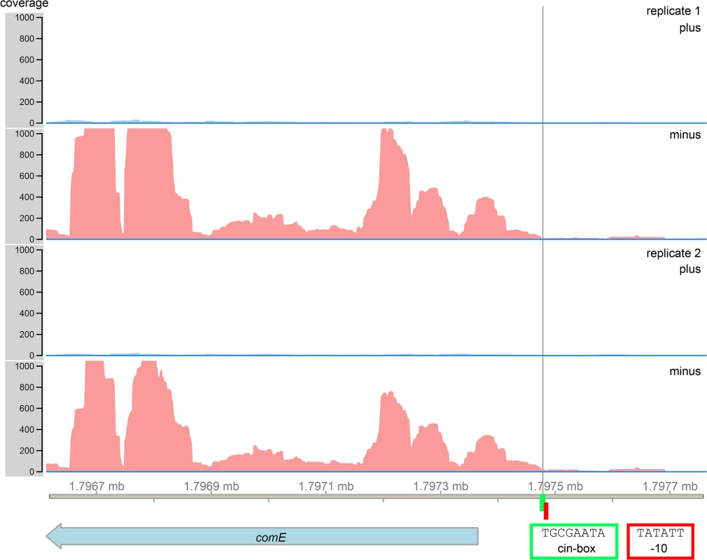 RNAsequencing and bioinformatics analysis of the 5`UTR of the <i>comE</i> gene of <i>S</i>. <i>mutans</i>.