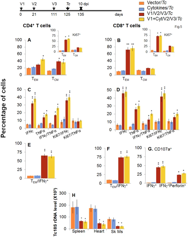 Booster immunization (bi) expanded the parasite-specific recall T cell response that provided superior protection from <i>T</i>. <i>cruzi</i> infection.