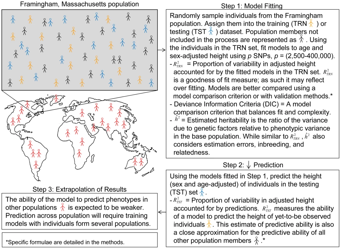 A simplified representation of assessment of goodness of fit in a training dataset and of predictive ability across a population: an example with the Framingham population.
